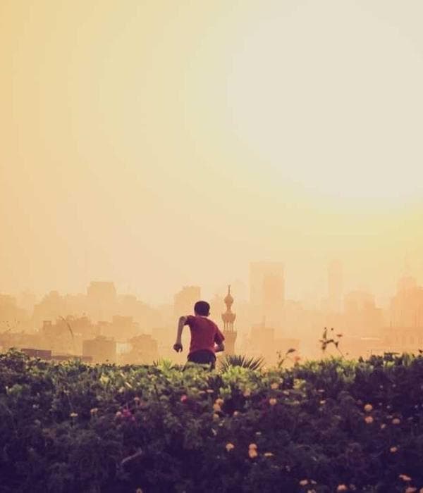 Golden Field